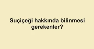 haber-gorseli-1790599699838