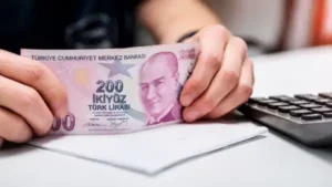 alman-devinden-kritik-turk-lirasi-analizi-enflasyon-seviyesi-dikkate-alindiginda-hJQPfDSv