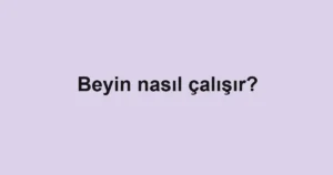 beyin-nasil-calisir