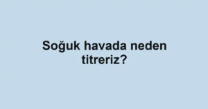 soguk-havada-neden-titreriz